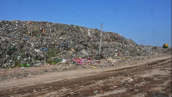 A view of the site where a bamboo garden was planted covered with garbage near the Bhalswa landfill in New Delhi. (Hindustan Times)