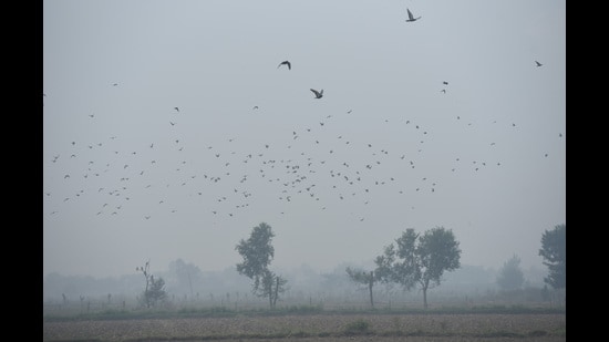 As of Thursday, Ghaziabad has a total of eight stations in operation as per the Central Pollution Control Board’s Sameer app. (Sakib Ali/HT Photo)