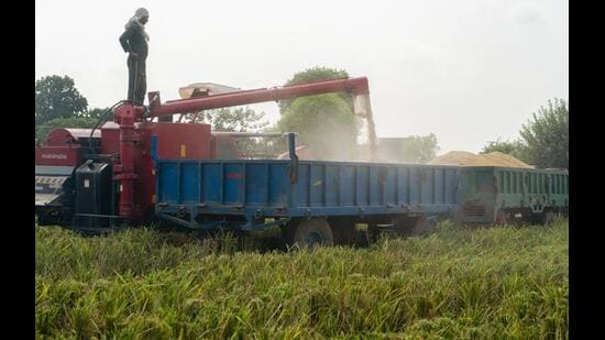 India must stop expanding ethanol from first-generation feedstocks beyond what E20 requires. Rice-based ethanol should be phased out first, while maize and cane allocations should follow feed availability and genuine sugar surpluses. (Bloomberg)
