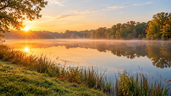 From family farm to nature preserve: A lakeshore gift that still stands.