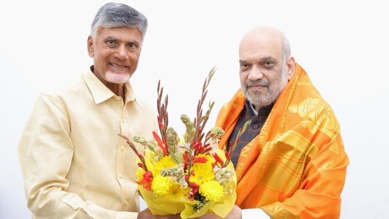అర్నబ్ తుఫాను బీభత్సం: అమిత్ షాతో చంద్రబాబు ఫోన్ ఇన్, కేంద్ర సాయానికి విజ్ఞప్తి (ఫైల్ ఫోటో)