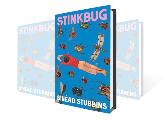 Stinkbug, by Sinéad Stubbins, is a gothic horror novel about a company retreat.
