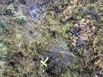 An aerial view of the crash site where a private helicopter crashed into a hillside near Chai village in the Joshimath area of Chamoli district in Uttarakhand on Friday. All six people on board, including five pilgrims from Karnataka and the pilot, died in the accident. (PTI)