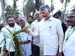 Andhra Pradesh chief minister N Chandrababu Naidu visiting cyclone Arnab-affected areas. (ANI)