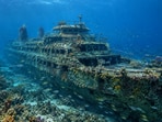 The M/V Twin Capes joined Delaware’s artificial reef network in 2018, creating underwater habitat for fish and marine organisms. The reef program also draws anglers and divers and generates more than $6 million in estimated annual economic benefits for the state.