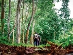 Gautamiputra Kamble’s tales recall the magical stories of childhood, with their kings, mysterious women and forests, which taken together imparted a complex wisdom. (Shutterstock)