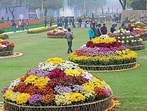 This time, the annual flower festival has been tentatively scheduled for the second or third week of December. (HT File)