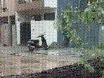 Gurugram: Uprooted Tree Damages 3 Electricity Poles, Disrupts Power Supply | #shorts