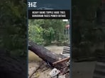 Gurugram: Uprooted Tree Damages 3 Electricity Poles, Disrupts Power Supply | HT India