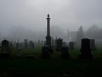  America is rapidly drifting away from traditional burial. The norm has increasingly become cremation. 