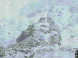 Kedarnath Dham blanketed in snow after season's first heavy snowfall | #shorts