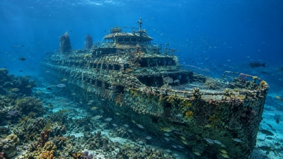 The M/V Twin Capes joined Delaware’s artificial reef network in 2018, creating underwater habitat for fish and marine organisms. The reef program also draws anglers and divers and generates more than $6 million in estimated annual economic benefits for the state. (AI-generated/ChatGPT) The M/V Twin Capes joined Delaware’s artificial reef network in 2018, creating underwater habitat for fish and marine organisms. The reef program also draws anglers and divers and generates more than $6 million in estimated annual economic benefits for the state. (AI-generated/ChatGPT)
