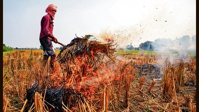 Farm fires are tracked from September 15 to November 30 during the kharif season. (PTI)