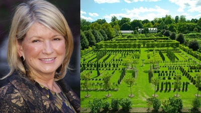 Twenty-six years on, Martha Stewart’s New York farm is still growing, one bird at a time. (Wikimedia Commons and @marthastewart48/Instagram) Twenty-six years on, Martha Stewart’s New York farm is still growing, one bird at a time. (Wikimedia Commons and @marthastewart48/Instagram)