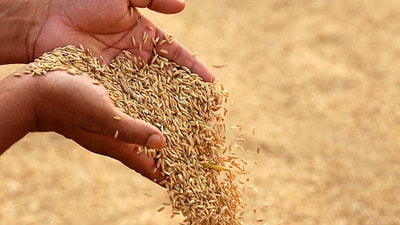 ప్రతీకాత్మక చిత్రం