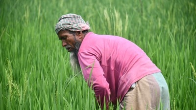 పీఎం కిసాన్ 24వ విడత నిధులు.. ఈరోజే రైతుల ఖాతాలోకి డబ్బులు! (Pexel) పీఎం కిసాన్ 24వ విడత నిధులు.. ఈరోజే రైతుల ఖాతాలోకి డబ్బులు! (Pexel)