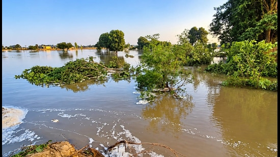 Agricultural fields inundated after a Canal breach in Hisar’s Kali Raman village on Friday. (Manoj Dhaka/HT)
