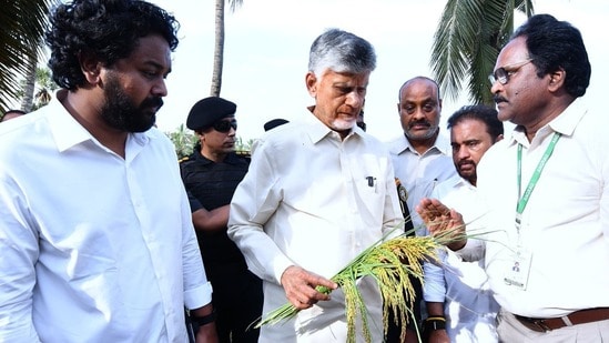 సీఎం చంద్రబాబు