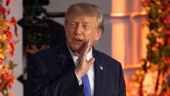 Trump's campaign funding group, MAGA Inc, said it would instead organise a series of tele-rallies featuring the President in at least 19 states.