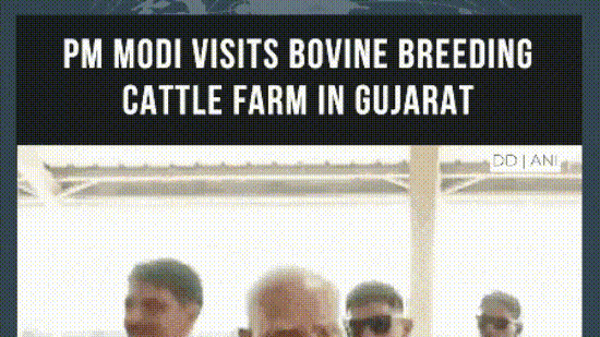 PM Modi Visits Bharat Bovine Breeding and Research Centre in Gujarat | #shorts
