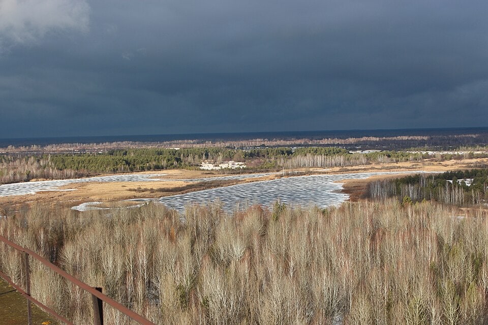 Chernobyl Exclusion Zone supports thriving wildlife (Wikimedia Commons)
