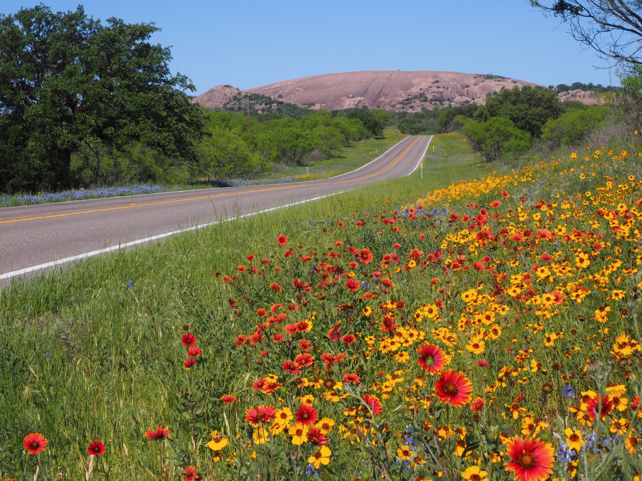 Enchanted Rock, in the distance, rises 1,825 feet above sea level.