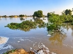 Agricultural fields inundated after a Canal breach in Hisar’s Kali Raman village on Friday. (Manoj Dhaka/HT)