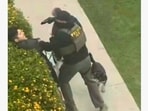 Video of a Friday morning ICE arrest in North Hollywood appears to show an agent pushing a dog walker into bushes and pointing a handgun at their head.