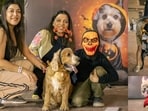 Pet parents can attend several Halloween pet parties today to celebrate with their little munchkins