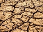 Farmers, their organisations and villagers have written to the district collector seeking the removal of their talukas from the list of 304 drought-hit talukas.(Unsplash/Representative)