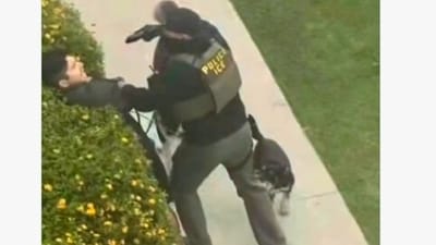 Video of a Friday morning ICE arrest in North Hollywood appears to show an agent pushing a dog walker into bushes and pointing a handgun at their head. Video of a Friday morning ICE arrest in North Hollywood appears to show an agent pushing a dog walker into bushes and pointing a handgun at their head.