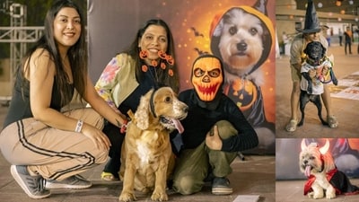 Pet parents can attend several Halloween pet parties today to celebrate with their little munchkins