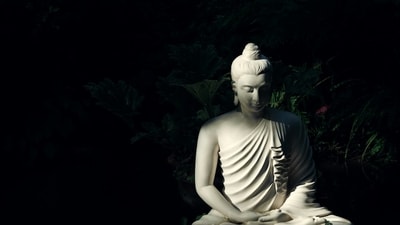 The display, scheduled to be put up till November 21, will offer devotees an opportunity to pay homage to the revered remains. (Pixabay/Representative)