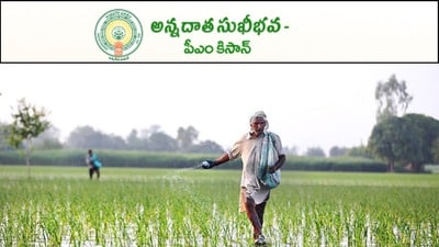 అన్నదాత సుఖీభవ స్కీమ్ అన్నదాత సుఖీభవ స్కీమ్
