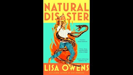 From the hearth: The domestic novel is taking twisty new shapes