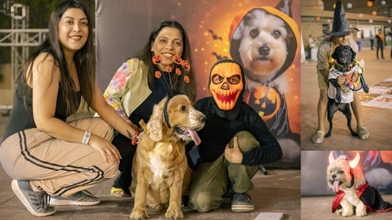 Pet parents can attend several Halloween pet parties today to celebrate with their little munchkins