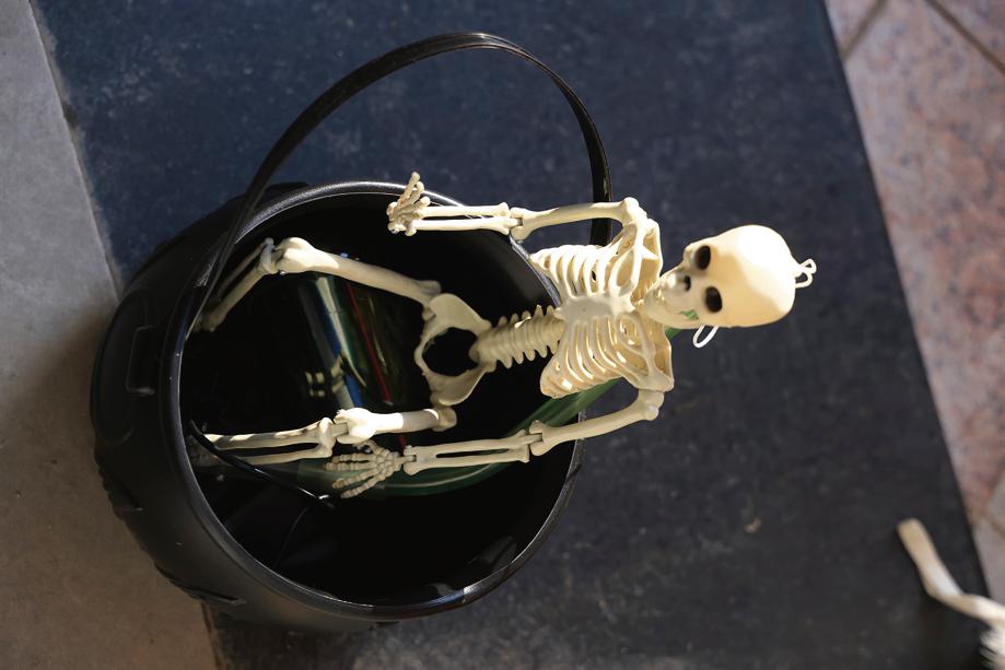 Trick or treat: Use this candy bowl upgrade featuring a skeleton chilling in a bucket. Price: ₹1,000 Trick or treat: Use this candy bowl upgrade featuring a skeleton chilling in a bucket. Price: ₹1,000
