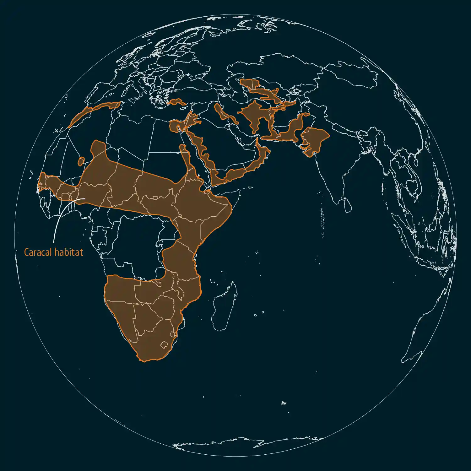 Map of the caracal's range, across Africa, the Middle East and Central and South Asia. In India, the areas labelled are Kutch in Gujarat, and Ranthambore, Dholpur-Karauli, Ramgarh and Mukundra Hills in Rajasthan.