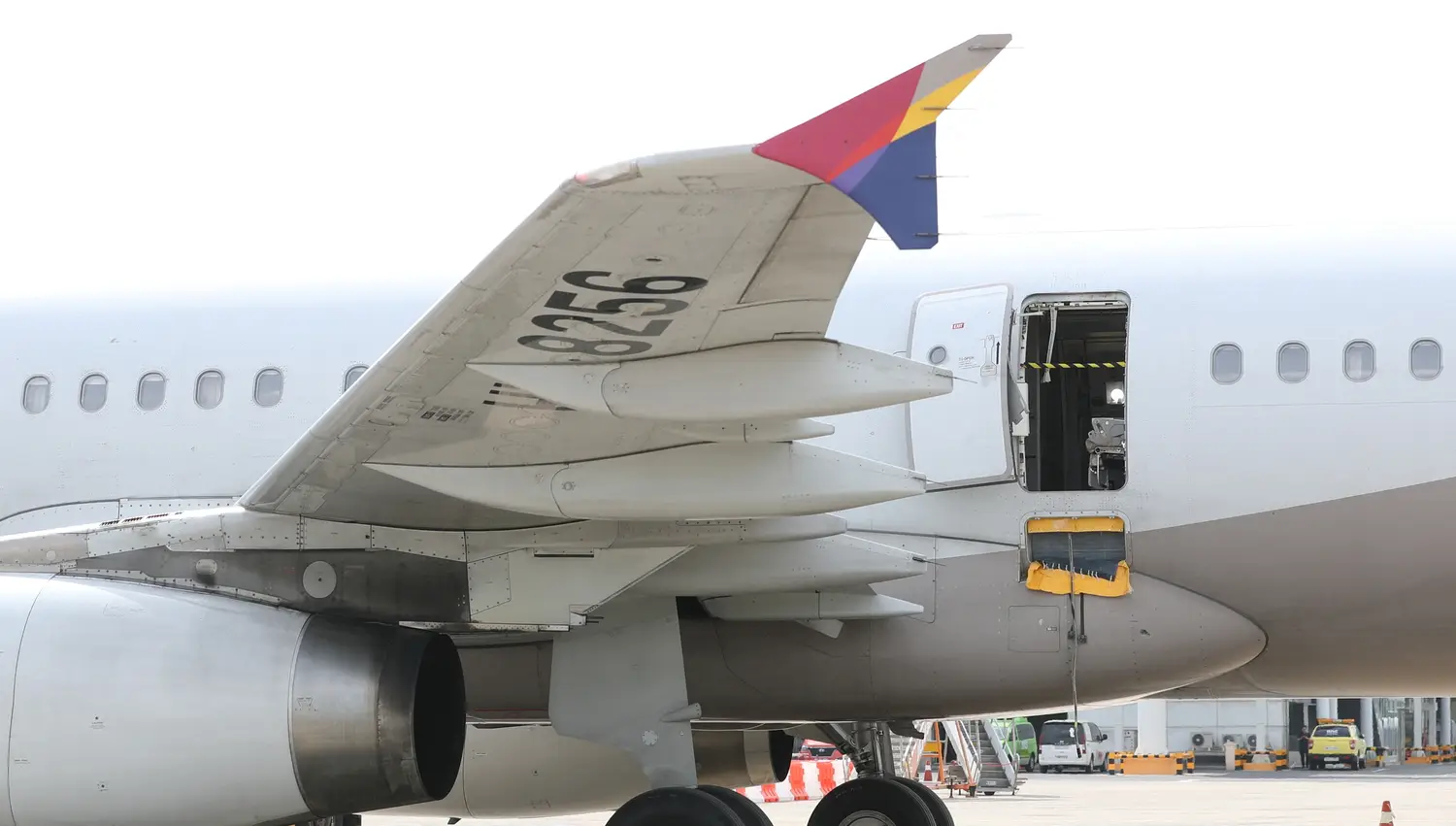 An Asiana Airlines Airbus A321 at an airport